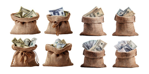 Money Bags with Dollar Bills in Different Poses
