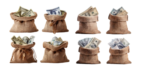 Money Bags with Dollar Bills in Different Poses