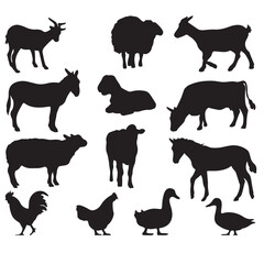Obraz premium silhouette animal vector