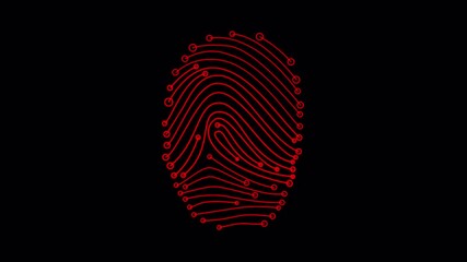 Red Fingerprint Circuit: Biometric Security Technology Concept Animation