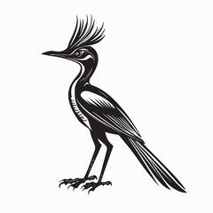 Fototapeta premium Greater Roadrunner Bird Silhouette Vector Design on white background