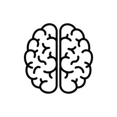 Minimalist Line Drawing of a Human Brain with Detailed Curves and Folds in Black on