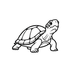 Cute cartoon turtle with a detailed shell and expressive face, set against a plain , suitable for educational or children's content