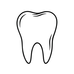 Detailed of a human tooth with smooth contours and anatomical structure, highlighting dental health and oral hygiene concepts