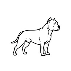 Strong and muscular dog standing alert with a confident stance and attentive expression, showcasing a powerful and loyal breed