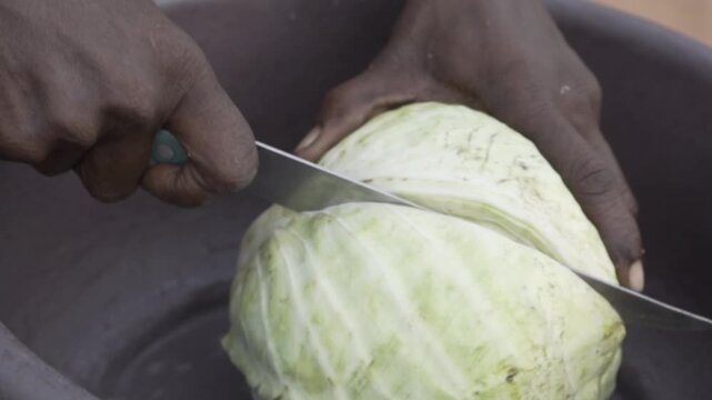 Skilled hands precisely halving and slicing fresh green cabbage during meal preparation.