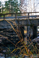 Old stone bridge over the river in the autumn with grass close up