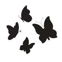 set of butterflies