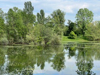 Obraz premium Orešje Lake or artificial lake Oresje (Zagreb County, Croatia) - Oresje-See oder künstlicher See Oresje (Kroatien) - Umjetno jezero Orešje (Sveta Nedelja, Hrvatska)