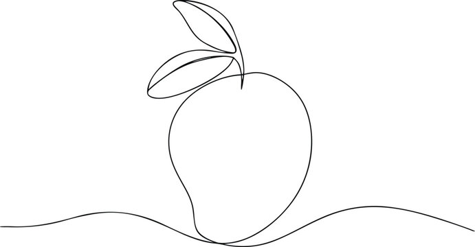 Single line drawing of a mango with leaves fruit line art