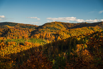 A mountain covered in trees with a blue sky in the background - Beskids Mountains, Poland