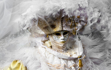 (no ai)a splendid snow-white costume