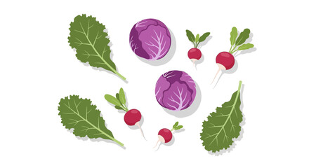 Freshly harvested radishes, vibrant leaves, and purple cabbages create a healthy and colorful arrangement, perfect for culinary themes and farm-to-table concepts