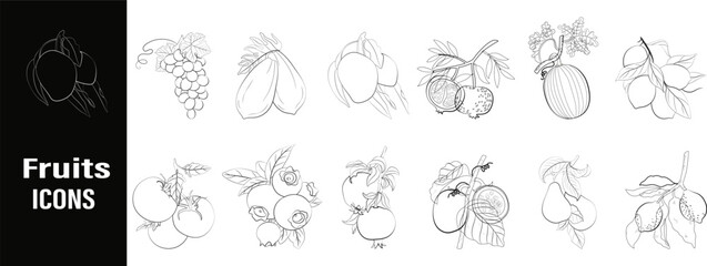 Fruits icons hand drawn coloring book line art collection vector bundle