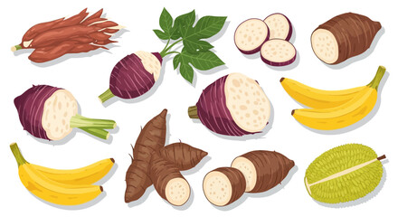 Vibrant assortment of fresh tropical produce creates a healthy and appetizing presentation for food marketing or culinary design projects. Taro, yuca, bananas, durian