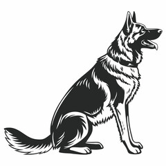 Fototapeta premium black and white dog