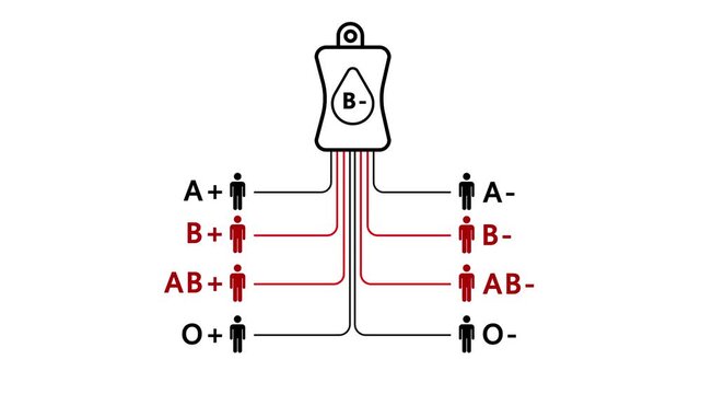 A blood bag labeled B- is at the top (the donor).Lines lead to eight different recipient icons.