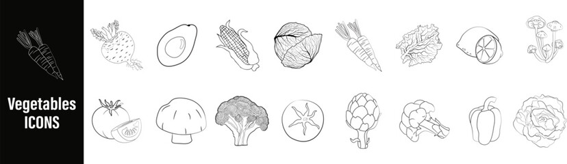 Vegetables icons hand drawn line art vector bundle set