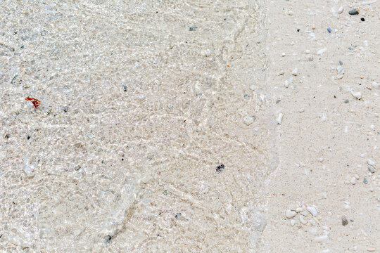 Natural sandy beach texture with coral fragments. Close-up. Space for text. Background. - Powered by Adobe