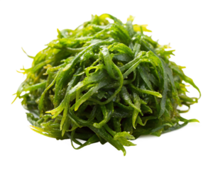 Pile of fresh green sea algae or seaweed, isolated on transparent background