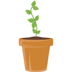 A small green plant with delicate leaves grows in a terracotta pot filled with dark soil and a transparent background, symbolizing growth and new beginnings.