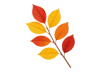 Autumn tree branch showing colorful fall foliage with red, orange, and yellow leaves on transparent background
