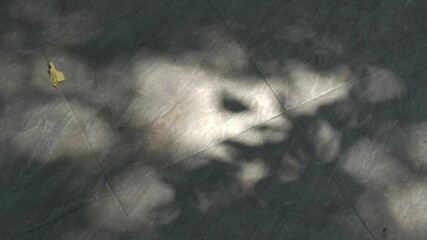 Dark, moody, mysterious abstract background with soft focus leaf shadow on floor. Eerie dappled light creates dramatic, tranquil vision and supernatural blurred texture