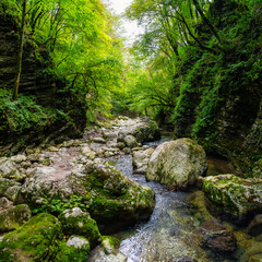 Fototapeta premium Beautiful river that flows through a closed canyon in the Kozjak forest, Triglav, Slovenia.