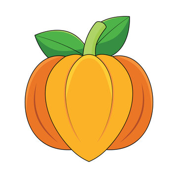 Stylized Ackee Fruit Vector Icon - Cartoon Tropical Fruit Illustration