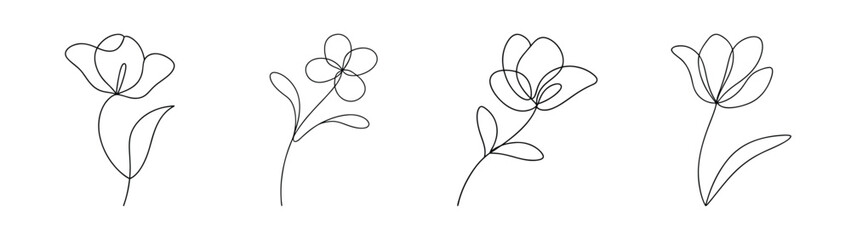 Delicate lilac flower sketch art botanical floral drawing