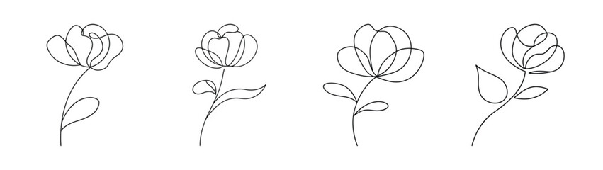 Four delicate line art sketches of peony flowers in profile on a