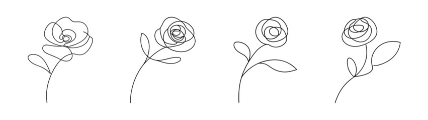 Delicate pencil sketches of ranunculus flowers on a white canvas