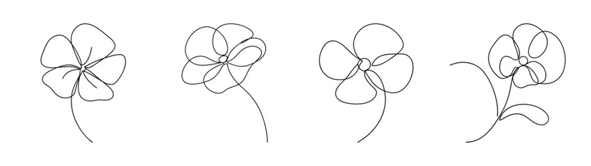 Delicate poppy flower sketches in sequence showing subtle variations in bloom