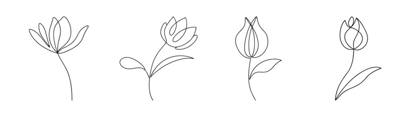 Four sketchy red hot poker flowers in various poses elegant botanical line art