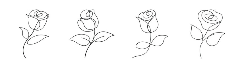 Delicate pencil sketch of four blooming roses with subtle shading