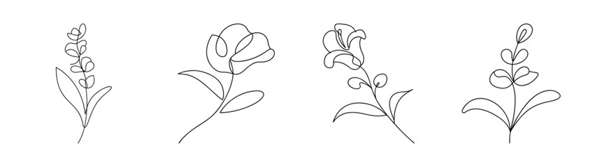 Artistic outline of snapdragon flowers showing delicate petal structure and stems