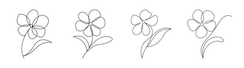 Delicate sketch of phlox flowers showing intricate petal details and stamen