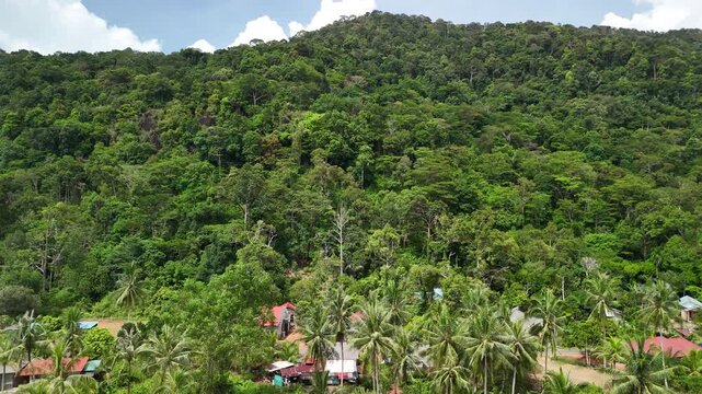 A tropical hillside scene where lush green vegetation surrounds red roofed buildings and tall palm trees creating a peaceful balance between nature and human presence in harmonyA tropical hillside sce