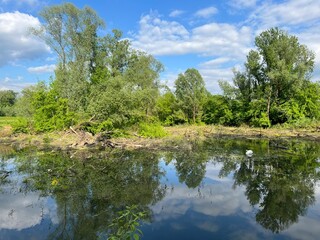 Fototapeta premium Special ornithological reserve Sava - Strmec and fishing area of ​​Lakes Strmec (Croatia) - Posebni ornitološki rezervat Sava – Strmec i ribolovna zona jezera Strmec (Sveta Nedelja, Hrvatska)