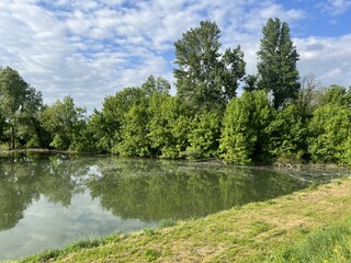 Obraz premium Special ornithological reserve Sava - Strmec and fishing area of ​​Lakes Strmec (Croatia) - Posebni ornitološki rezervat Sava – Strmec i ribolovna zona jezera Strmec (Sveta Nedelja, Hrvatska)