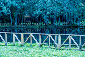 Curved Wooden Fence in Green Forest Park