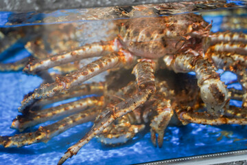 Live giant crab in aquarium tank for sale at seaport open market. King crab.