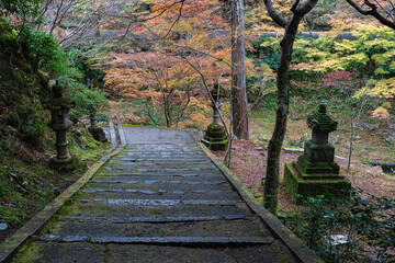 The marvelous Saimyo-ji Temple in Takao during fall season. Ukyo ward, Kyoto, Japan.
