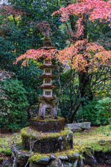 The marvelous Saimyo-ji Temple in Takao during fall season. Ukyo ward, Kyoto, Japan.