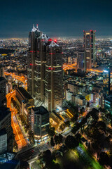 Panoramic view from Tokyo Metropolitan Government Building at night. Tokyo, Japan.
