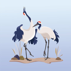 Red-crowned cranes on  blue background. Flat vector illustration