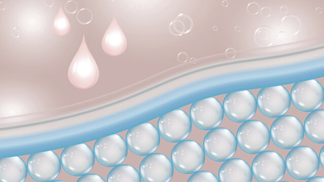 Skin Repair and Lifting Process with Dermal Structure