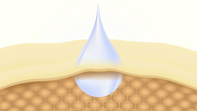 Skin Repair and Lifting Process with Dermal Structure