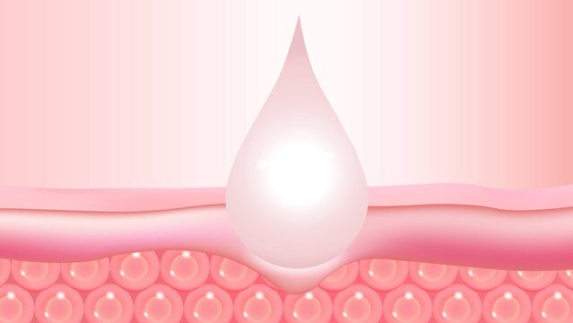 Skin Repair and Lifting Process with Dermal Structure