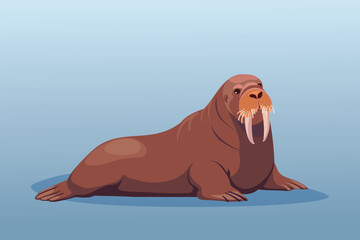 Adult walrus with large tusks on a blue background. Vector illustration